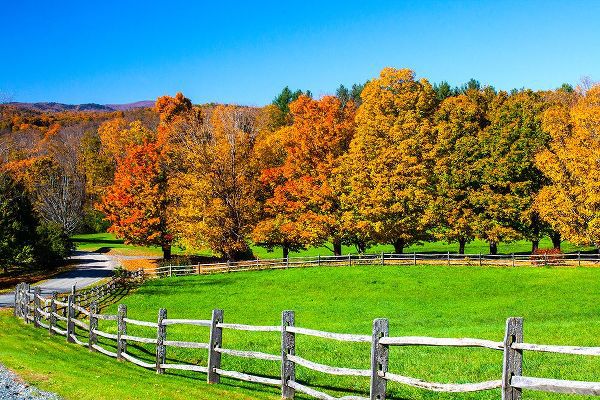 Gulin, Sylvia 아티스트의 USA-New England-Vermont countryside with curved gravel road fence in Autumn작품입니다.
